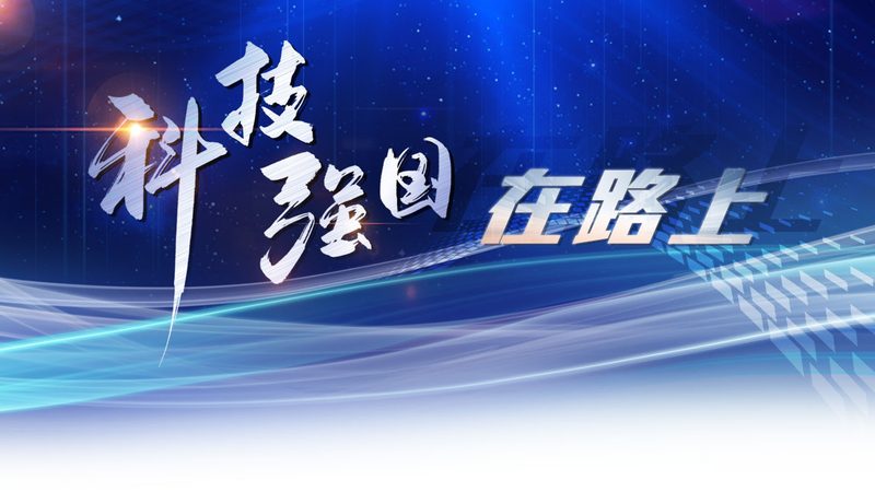 数据治理生命周期管理的核心要素与实施路径**